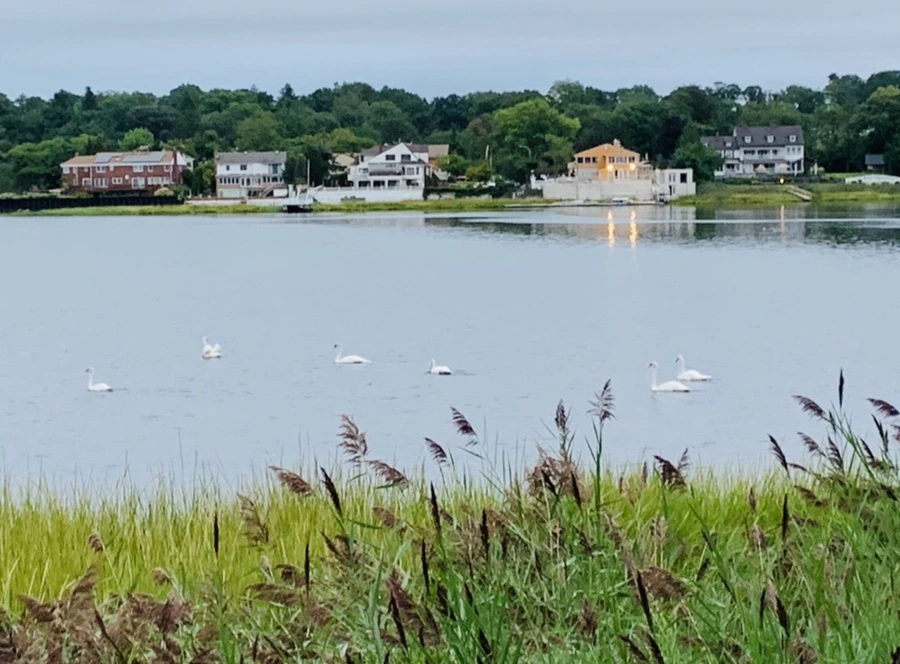 IMG_6172.jpg?type=w966