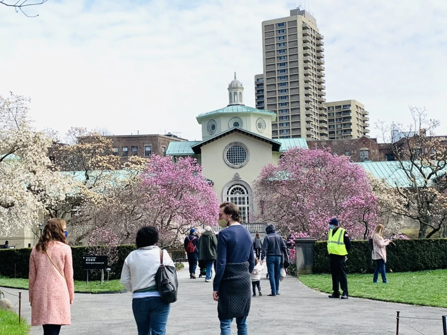 IMG_7264.jpg?type=w966