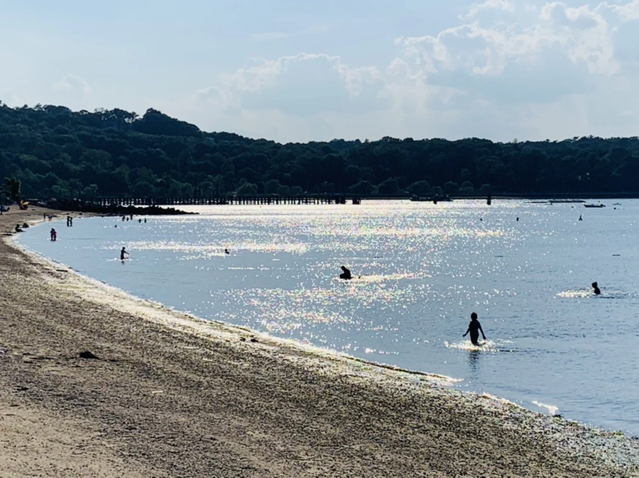 IMG_1266.jpg?type=w966