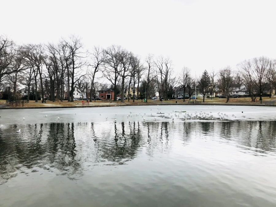 IMG_6410.jpg?type=w966