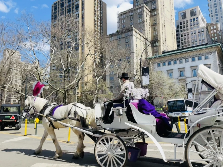 IMG_8087.jpg?type=w966