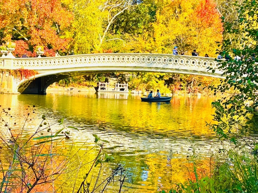 IMG_1648.jpg?type=w966