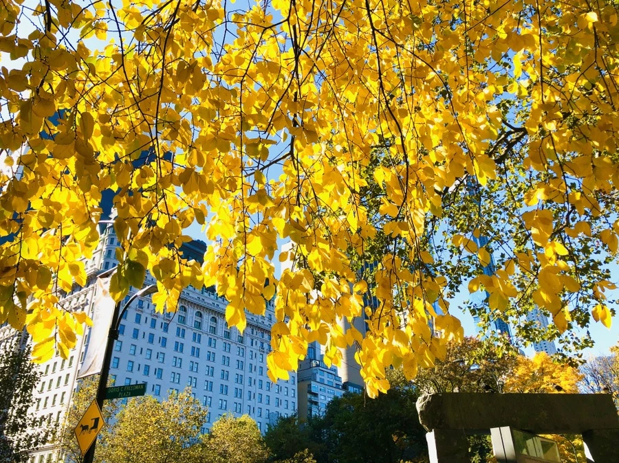 IMG_3743.jpg?type=w966