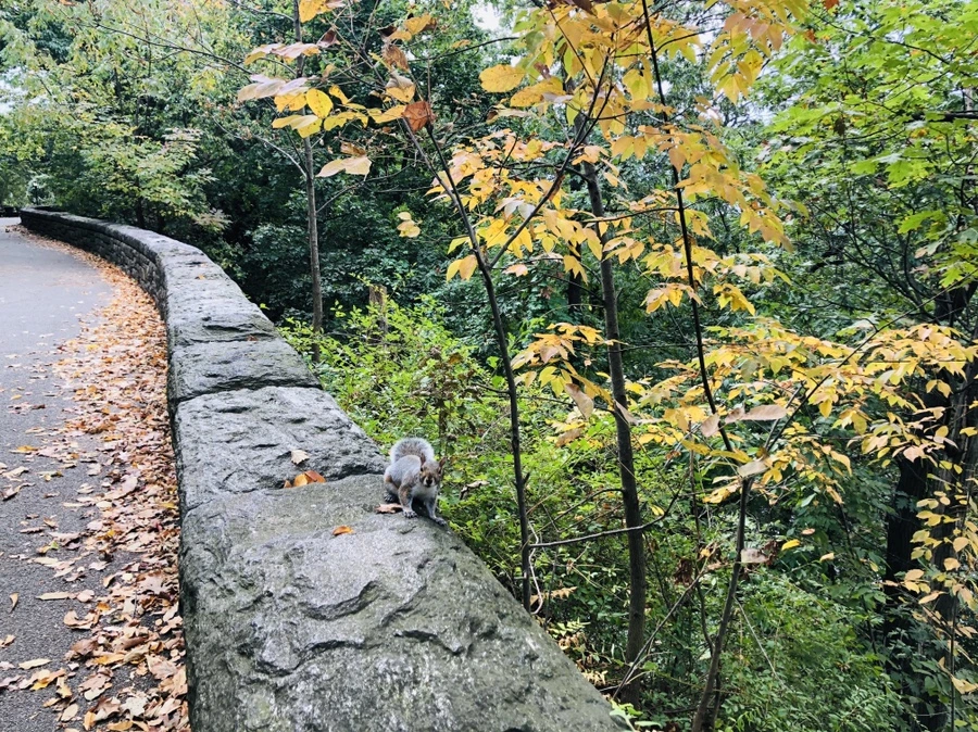 IMG_1513.jpg?type=w966