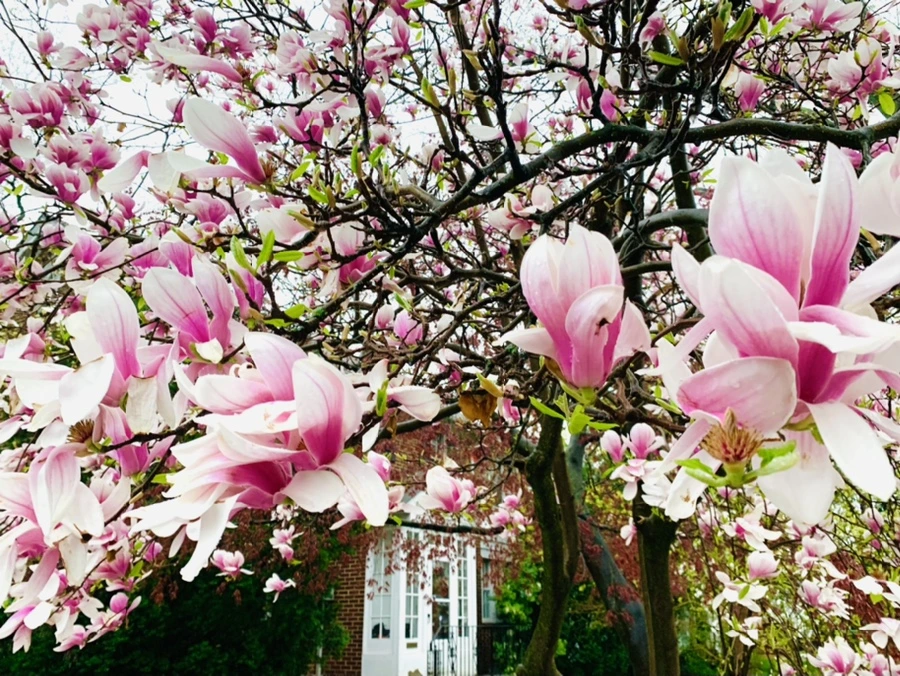 IMG_2358.jpg?type=w966