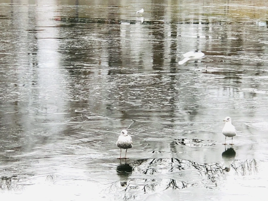 IMG_8981.jpg?type=w966