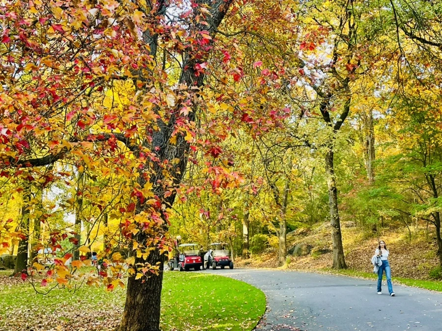 IMG_1853.jpg?type=w966