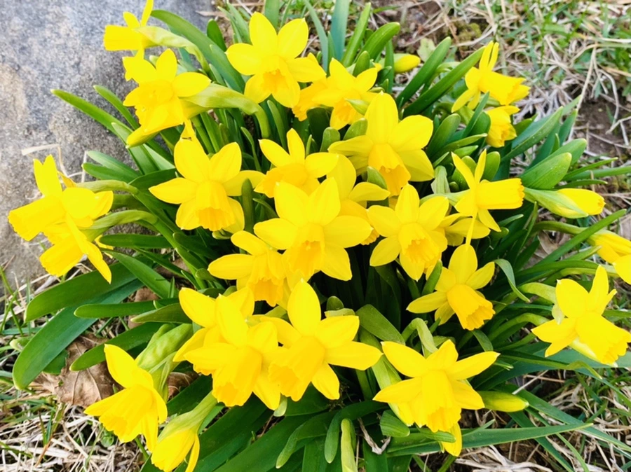 IMG_2718.jpg?type=w966