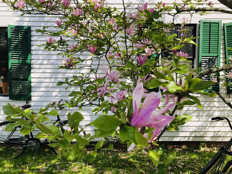 IMG_5106.jpg?type=w966