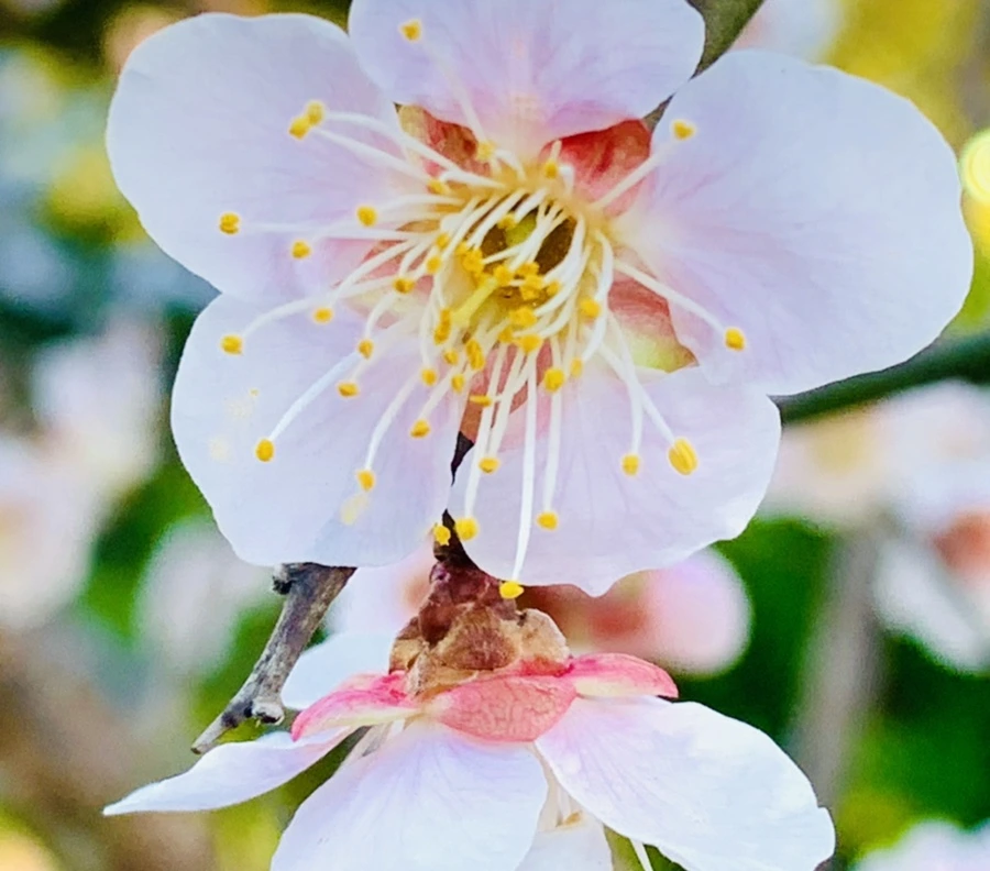 IMG_0773.jpg?type=w966