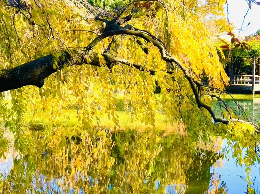 IMG_2107.jpg?type=w966