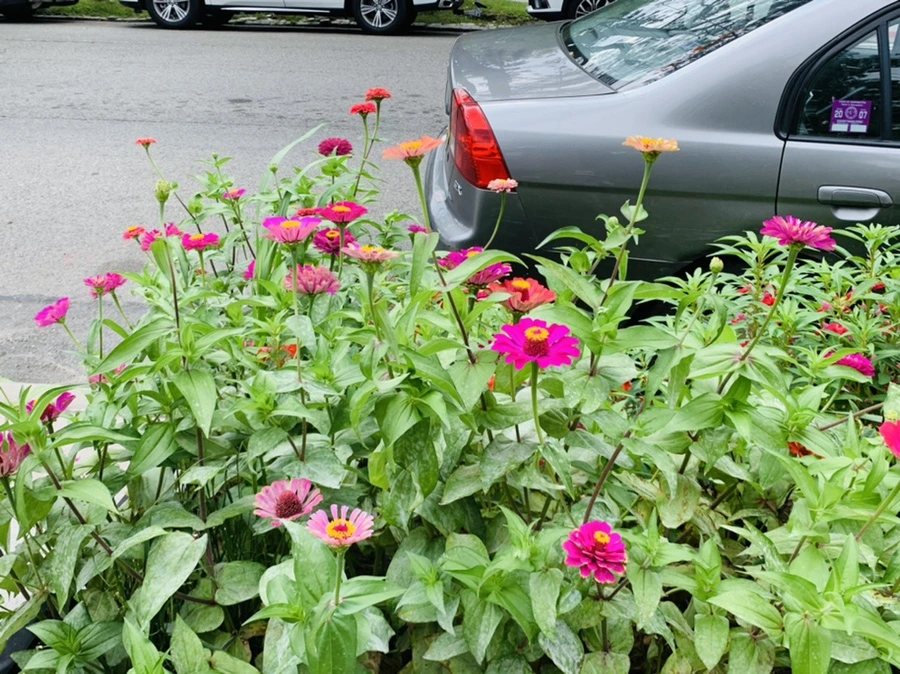 IMG_1173.jpg?type=w966