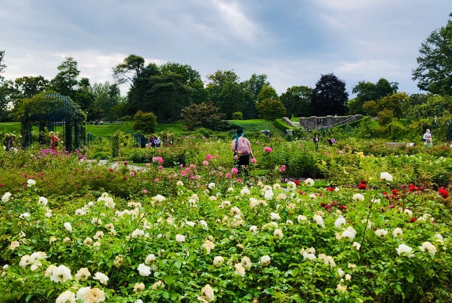 IMG_1622.jpg?type=w966