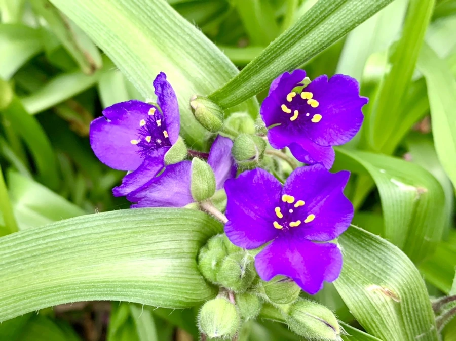 IMG_0870.jpg?type=w966