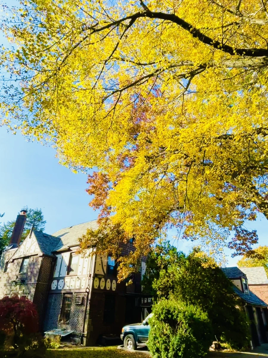 IMG_2215.jpg?type=w966