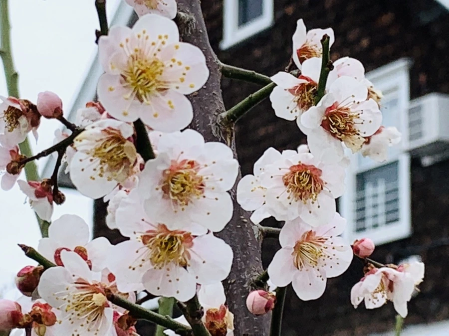 IMG_3588.jpg?type=w966