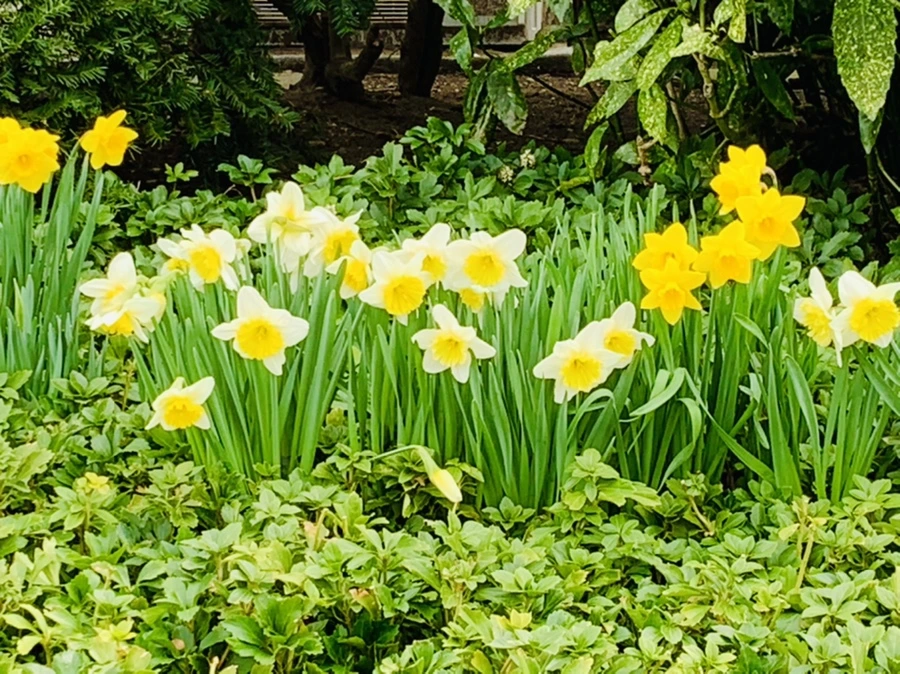 IMG_5883.jpg?type=w966