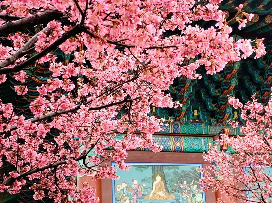 IMG_5290.jpg?type=w966