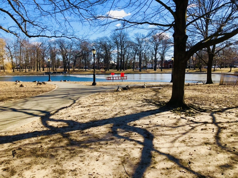 IMG_7636.jpg?type=w966