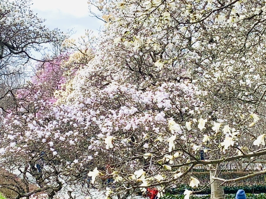 IMG_6481.jpg?type=w966