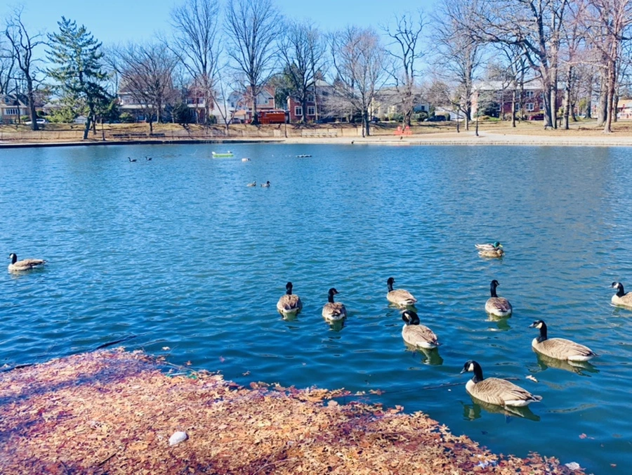 IMG_6738.jpg?type=w966