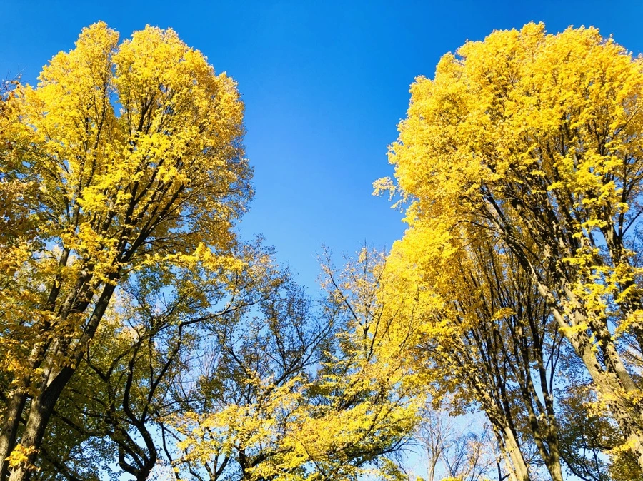 IMG_3473.jpg?type=w966