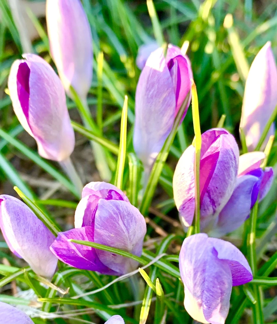 IMG_0756.jpg?type=w966