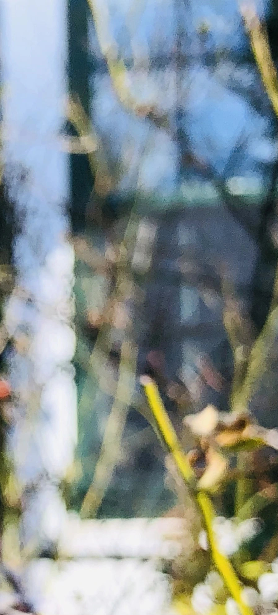 IMG_1390.jpg?type=w966