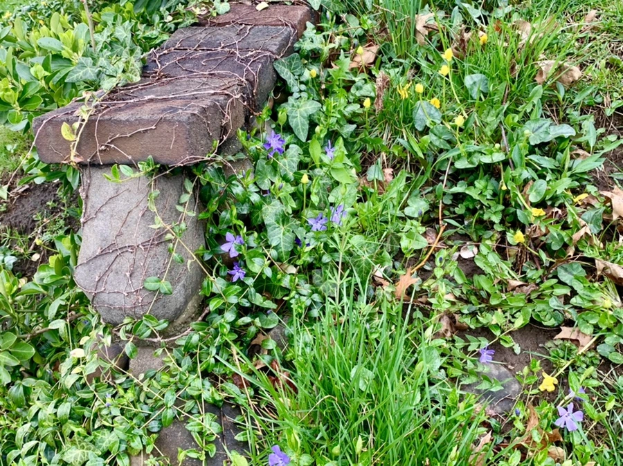 IMG_6209.jpg?type=w966