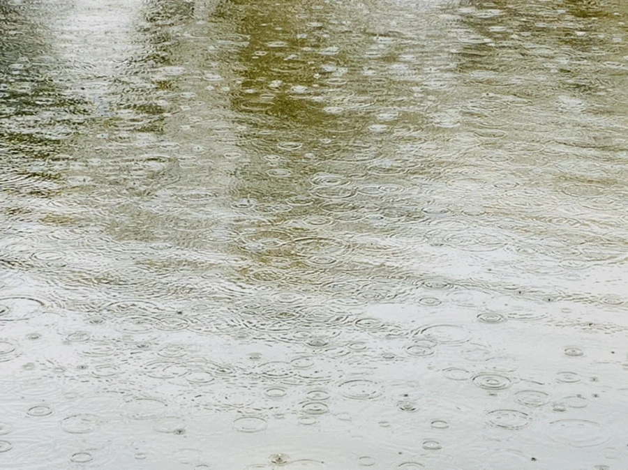 IMG_2120.jpg?type=w966