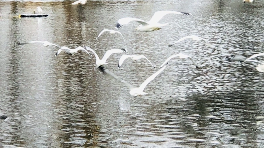 PAEHeh3mttev04MGjX1ZGbQGvLU