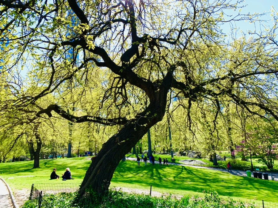 IMG_6030.jpg?type=w966