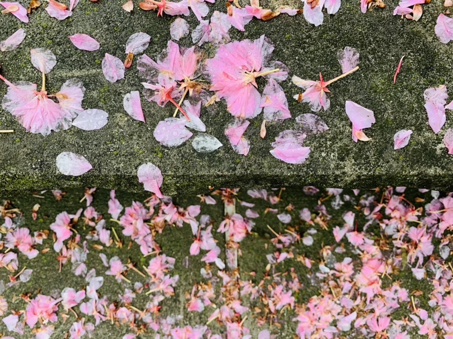 IMG_9479.jpg?type=w966