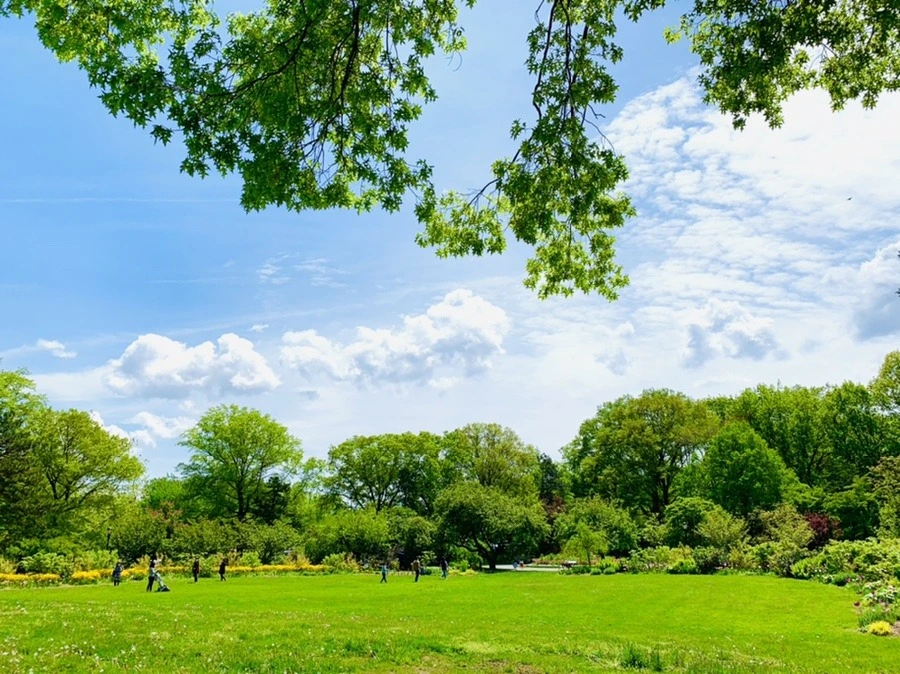 TcX5EWmuy3cM_bTm-lZytXJVwPE