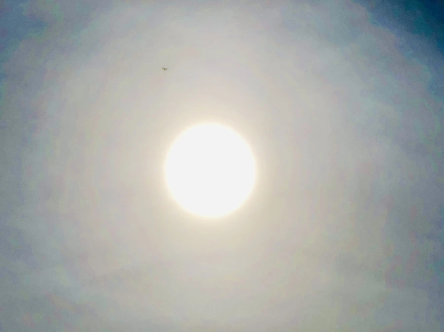 IMG_3180.jpg?type=w966