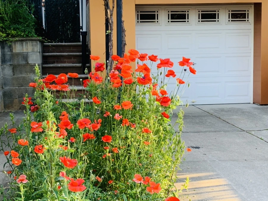 IMG_3332.jpg?type=w966