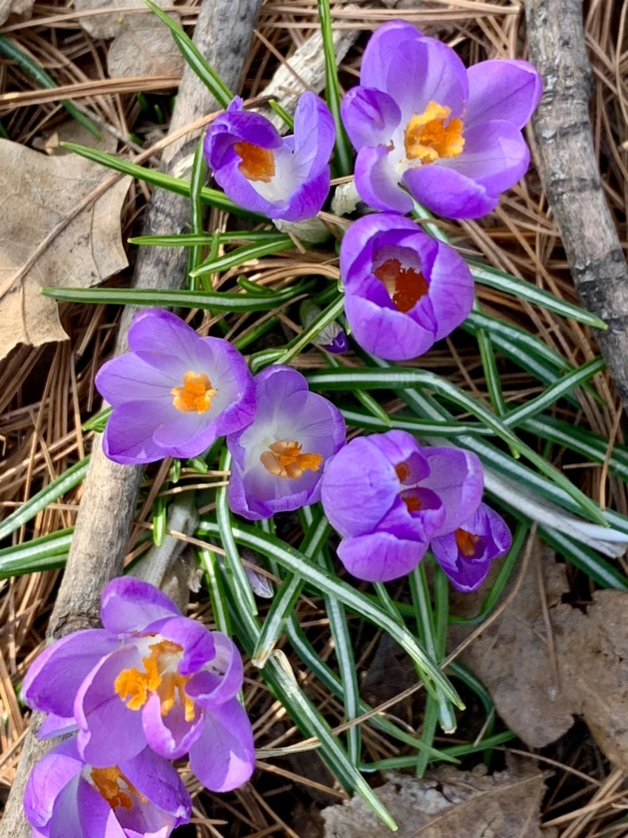 IMG_0167.jpg?type=w966