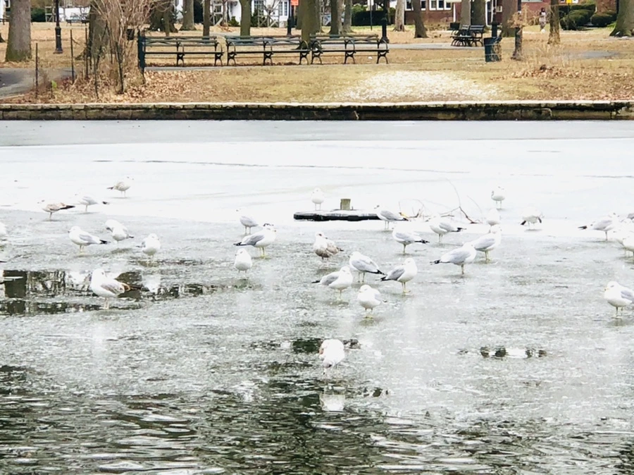 IMG_6387.jpg?type=w966