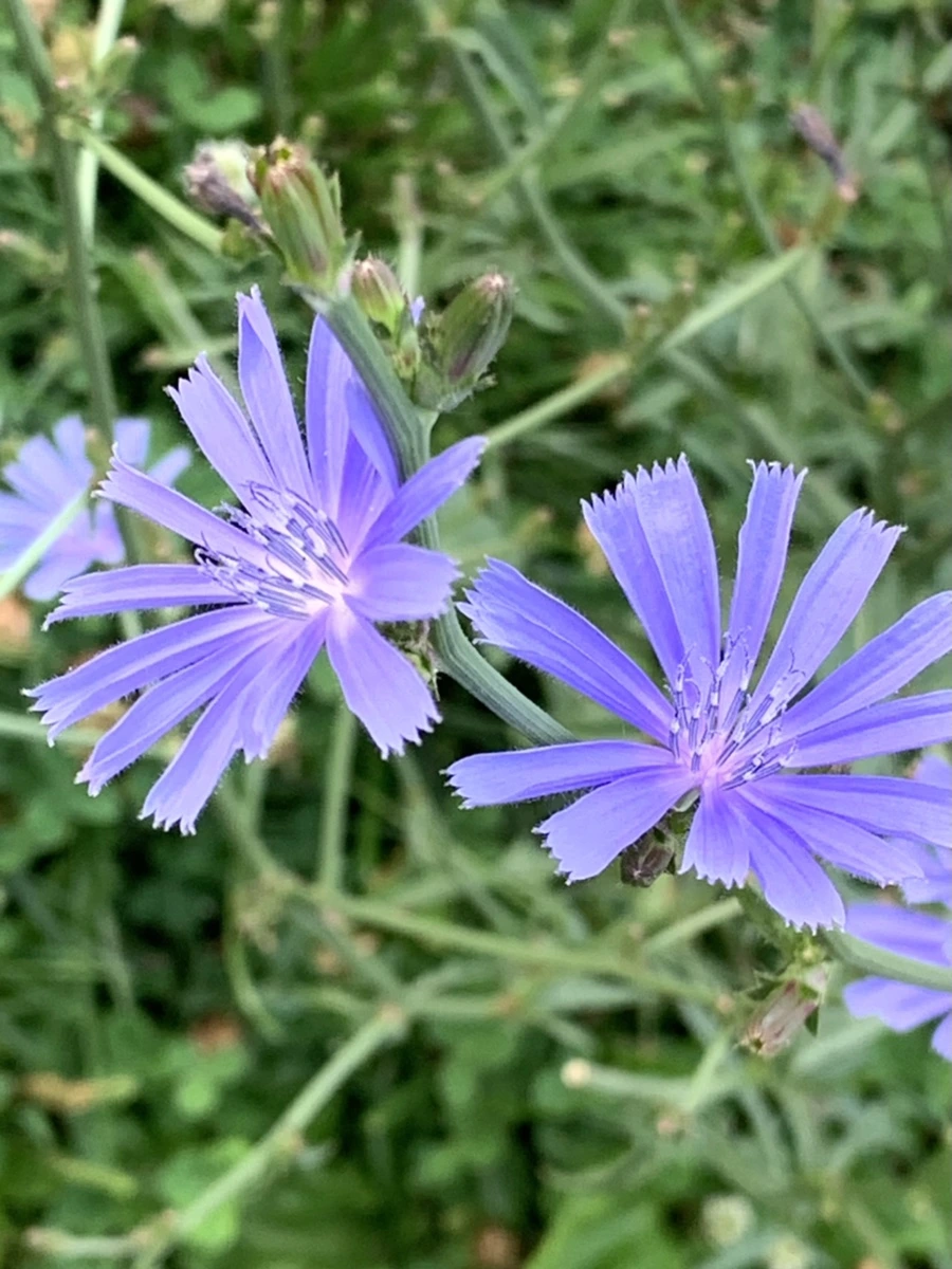 IMG_5903.jpg?type=w966