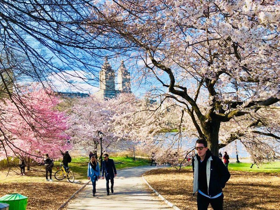 IMG_4543.jpg?type=w966