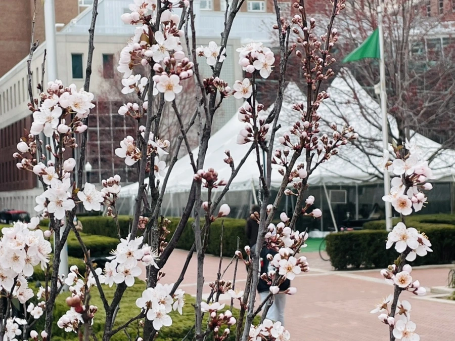 IMG_6826.jpg?type=w966