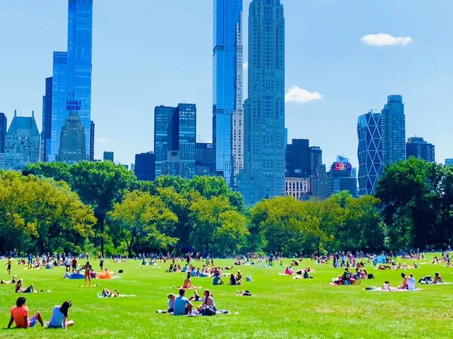 IMG_4413.jpg?type=w966