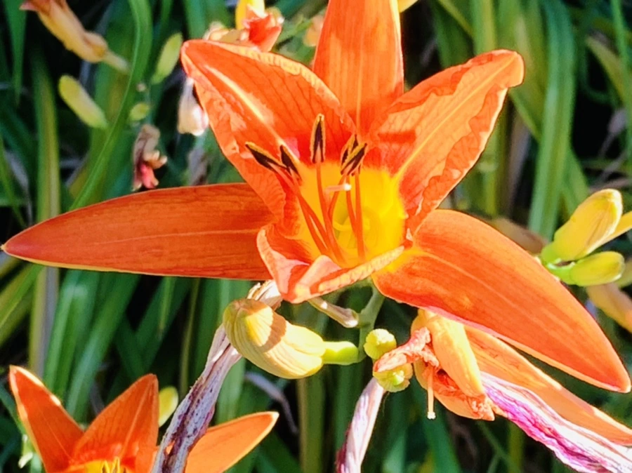 IMG_4854.jpg?type=w966