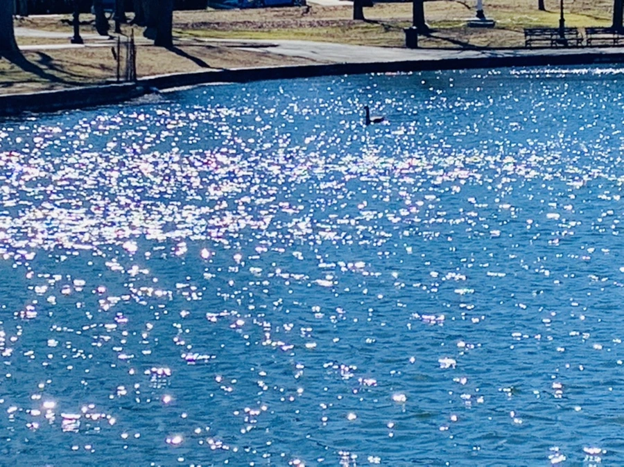 IMG_7560.jpg?type=w966