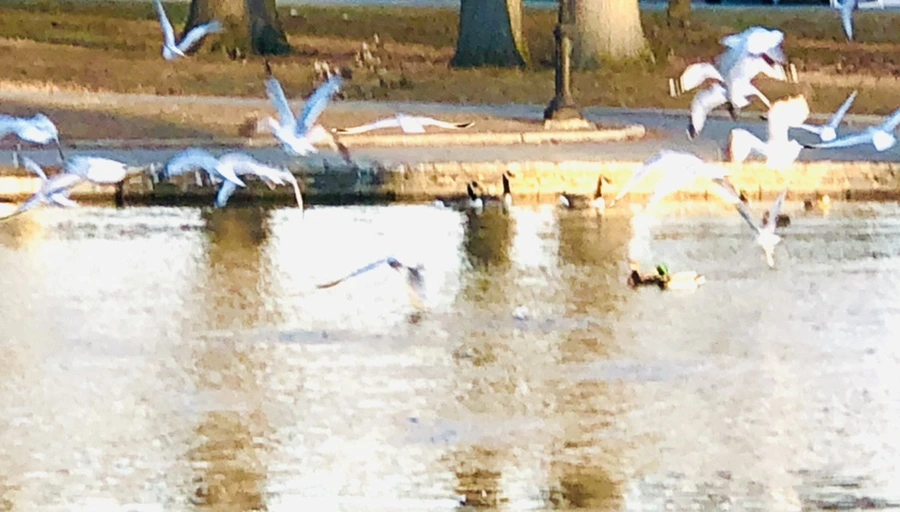 IMG_0843.jpg?type=w966