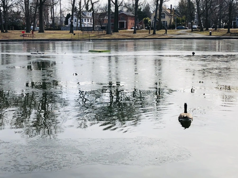 IMG_5799.jpg?type=w966