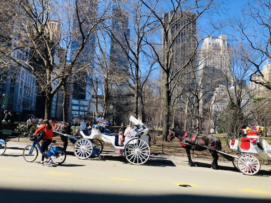 IMG_1183.jpg?type=w966