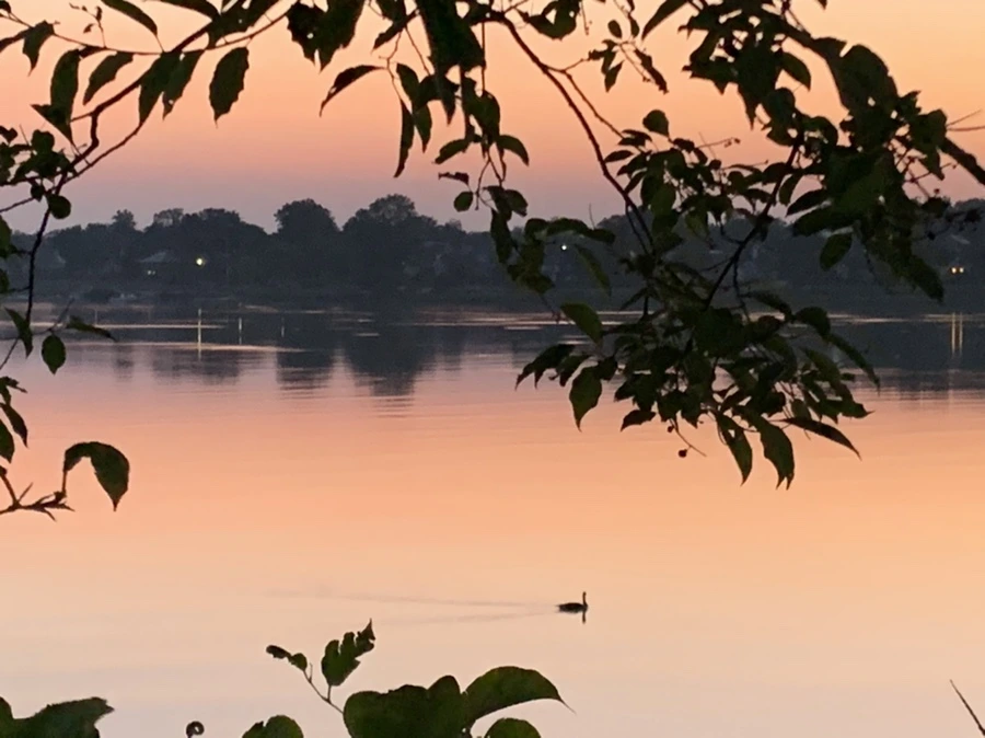 IMG_4325.jpg?type=w966