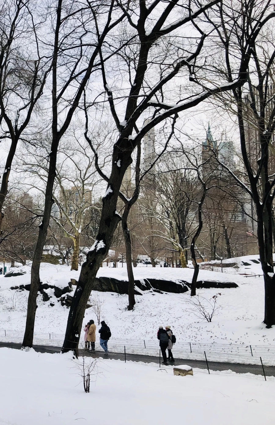 IMG_0373.jpg?type=w966