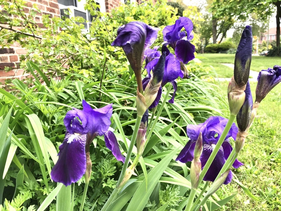 IMG_4029.jpg?type=w966